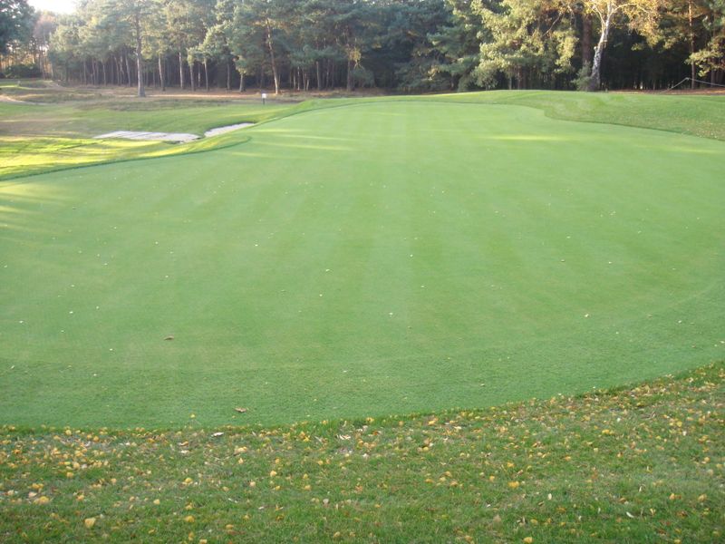 Wentworth 10th Green