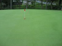 Creeping bent green